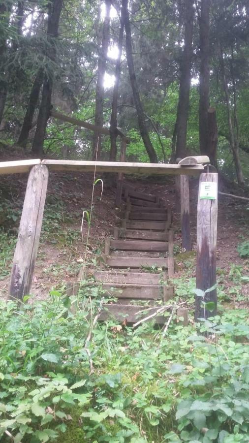 Wolfs Ferienhaus - Natuerlich Eifel Бланкенхайм Екстериор снимка