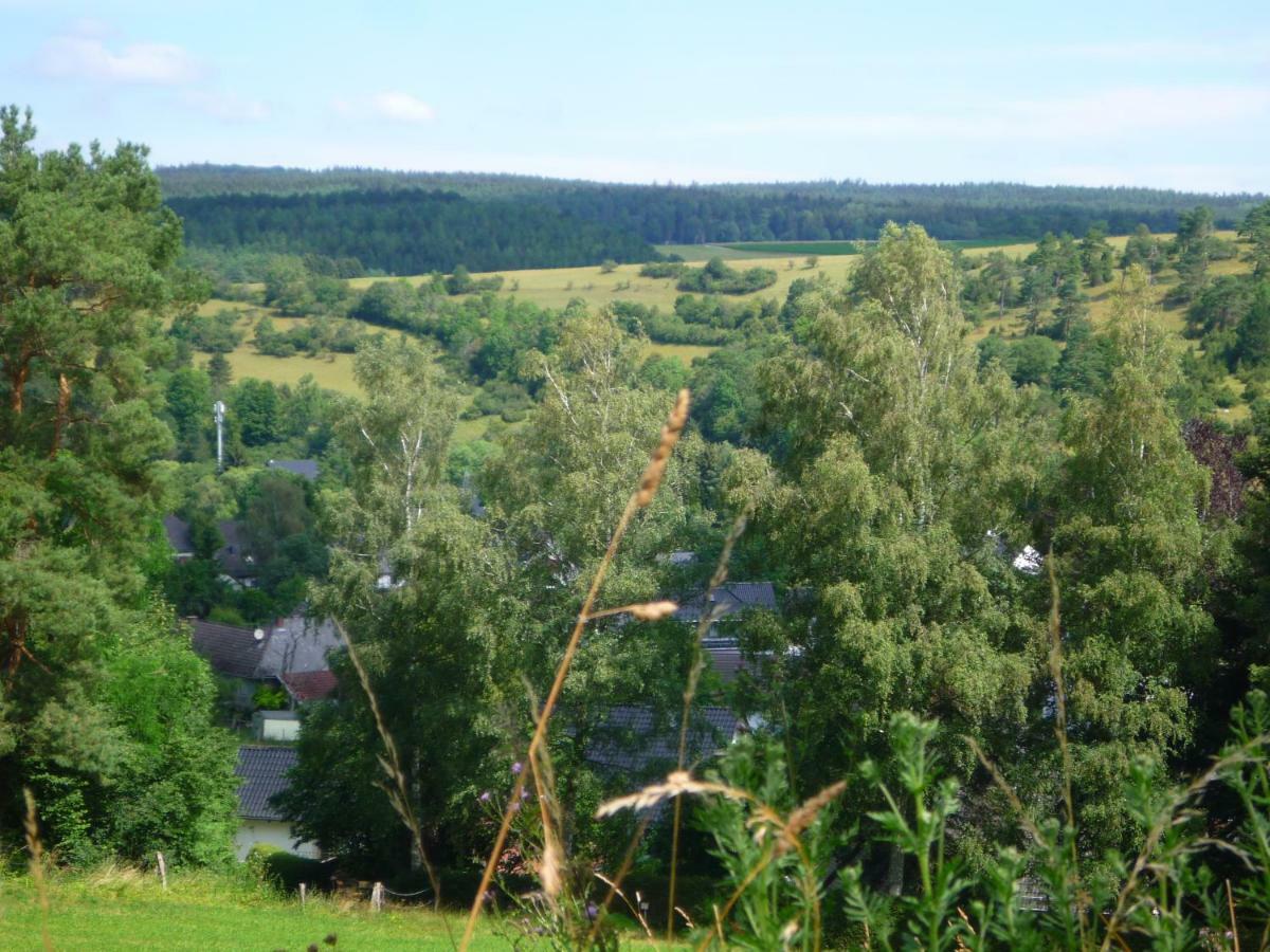 Wolfs Ferienhaus - Natuerlich Eifel Бланкенхайм Екстериор снимка